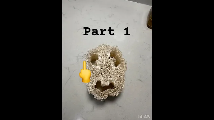 "Old sponge vs. loofah - Sorry, I'm number 1!"