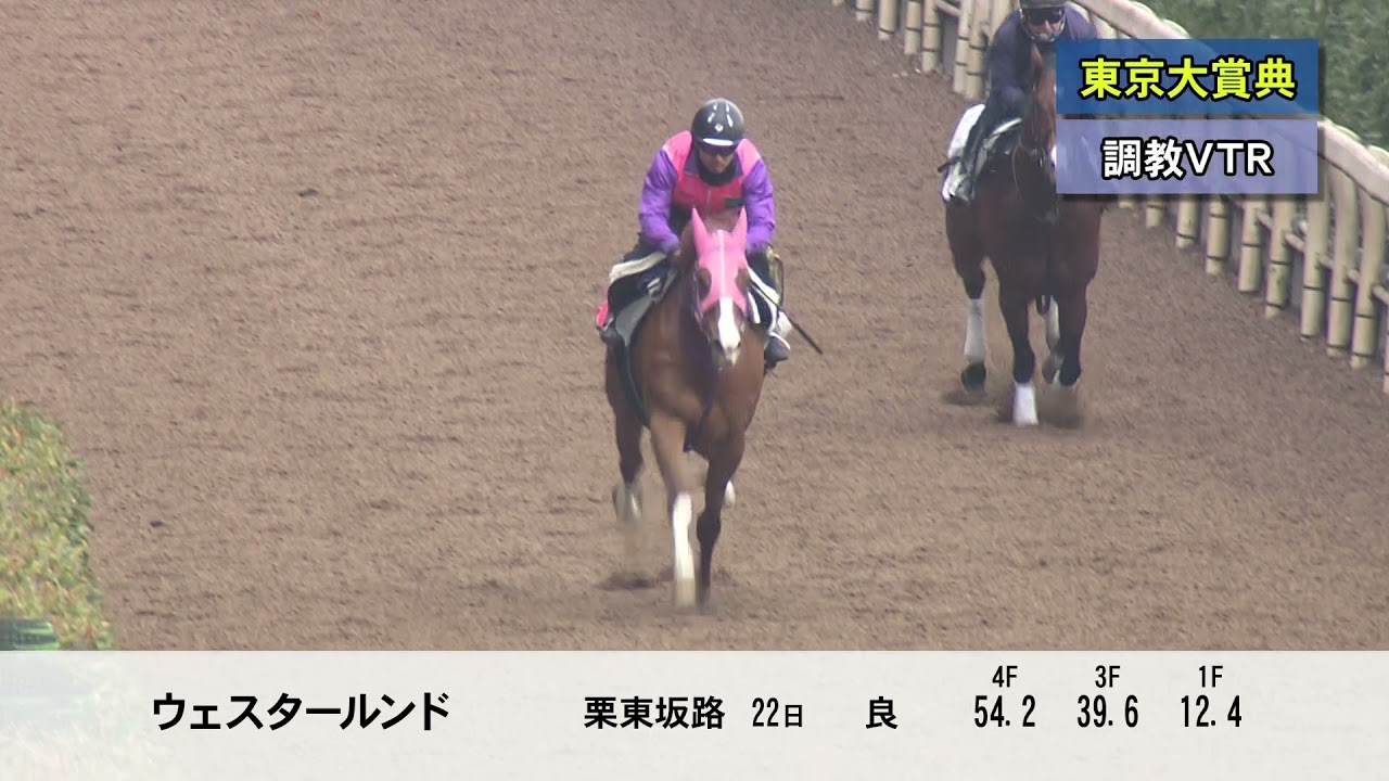 送料0円】 競馬 コップ 第57回 東京大賞典G1 美濃焼 thiesdistribution.com