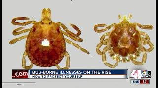 CDC warns of increase in mosquitoes, ticks