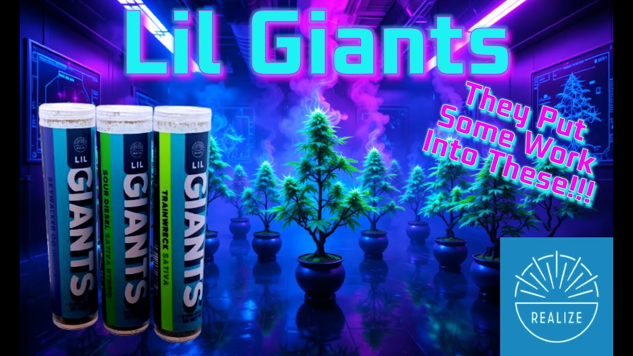 Trying Lil Giants Infused Pre-rolls from Realize Hemp - Back To Basics!