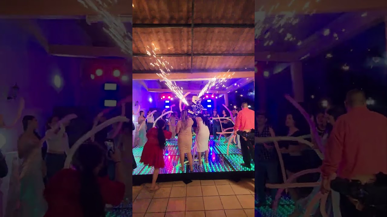 Robot led  vallarta wedding & events  