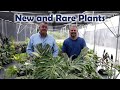 Plant Masters with Pat McCracken - Rare Plants - Ep5