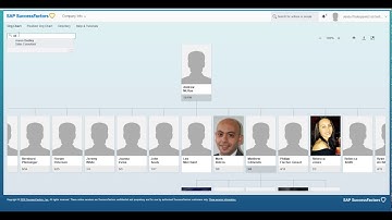 Viewing Organisational Charts - SuccessFactors