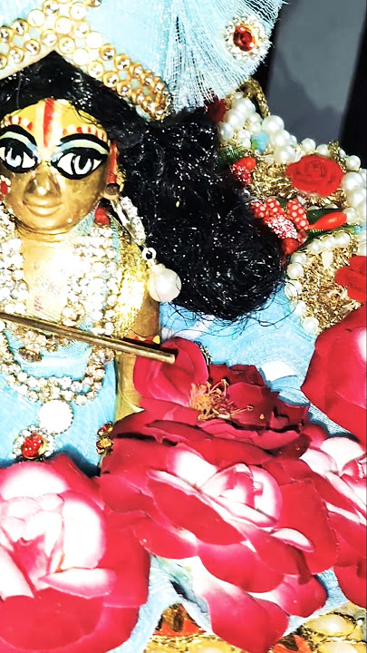 aarti kunj bihari ki #aartikunjbihariki