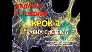 КРОК 1 = Травна система