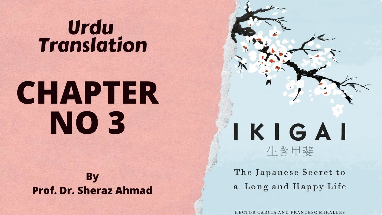 📘 IKIGAI – Chapter 3 | Finding Flow: Turn Work and Free Time into Meditation