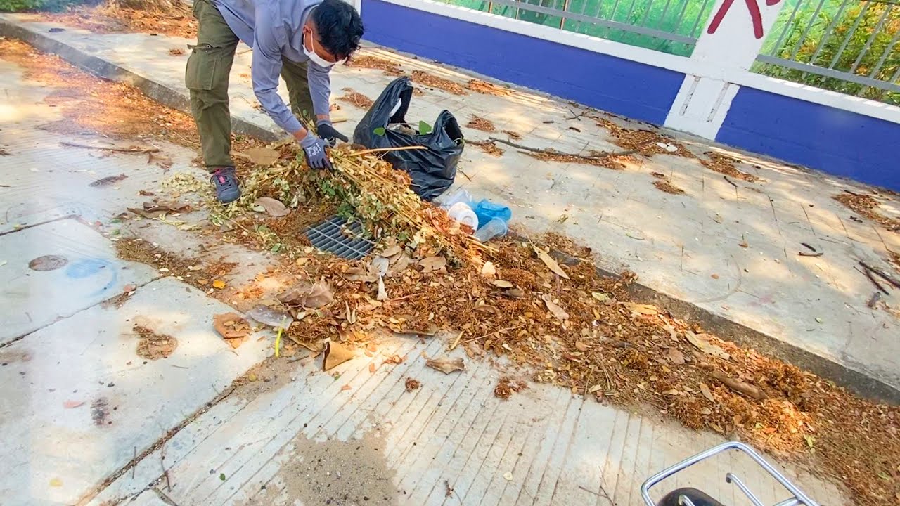 Leaves Clean Up Prices