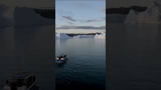 Nature in Crisis: Bees Dying, Oceans Warming, and Earth Crossing the Point of No Return