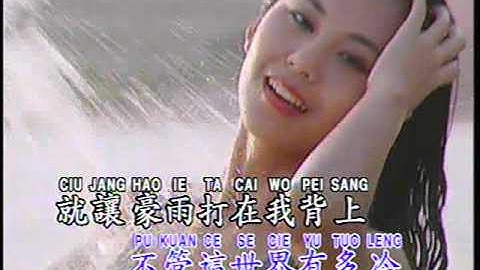 追风少年 Zhui Feng Shao Nian (辉歌 Victory Production - DVD版)