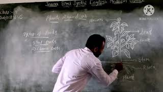 Class-4th Subject-EVS Lesson-Plants Around Us (Part-1) Concept-Parts of plants and types of roots