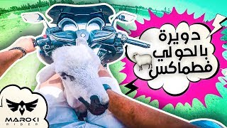 ضربت دويرة بالحولي فوق الطماكس ( كان غايطيح من الموطور !! )