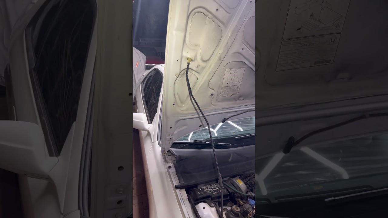 5th Gen Honda Prelude Hood Service Position  