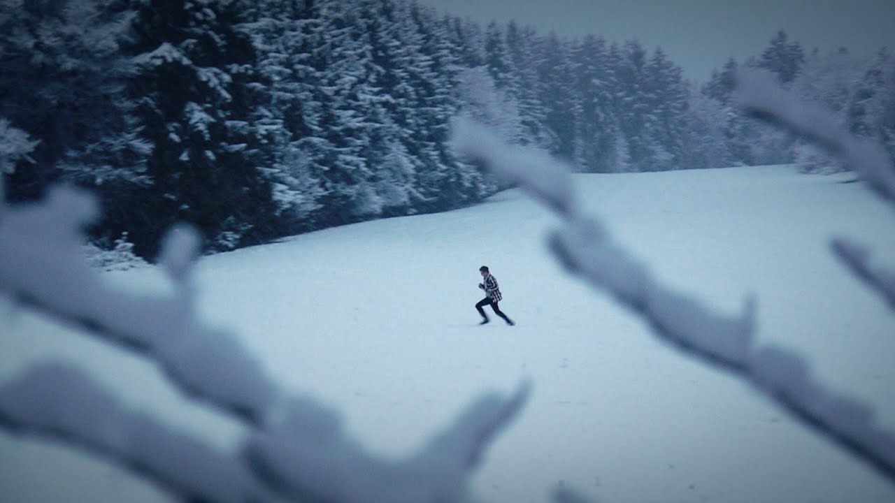 Trade Wind - Dead Leaves (unofficial)