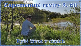 Zapomenuté revíry 9. díl - Rybí život v tůních