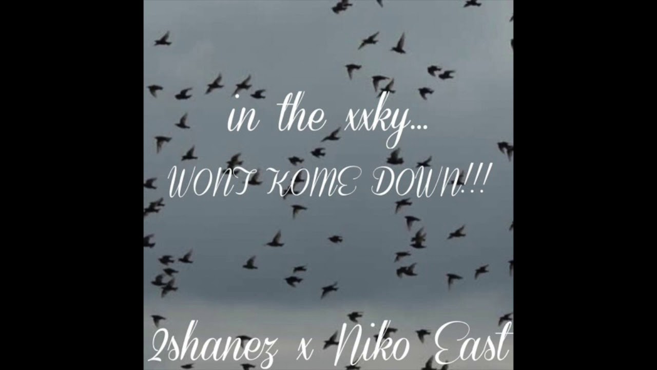 2SHANEZ - in the xxky... WONT KOME DOWN!!! [2020]