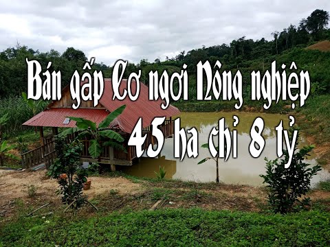 Video 88,Bán gấp Cơ ngơi Nông nghiệp 45ha, giá 8 tỷ... - youtube