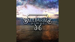 Vignette de la vidéo "Salebarbes - C'est la vie"