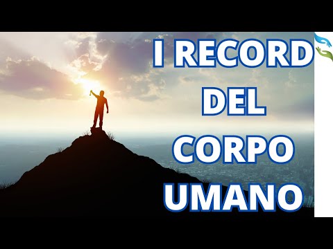 Video: Quale osso più corto del corpo umano?