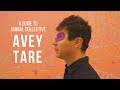 Capture de la vidéo A Guide To Animal Collective: Avey Tare