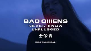 BAD OMENS - Never Know Unplugged (INSTRUMENTAL)