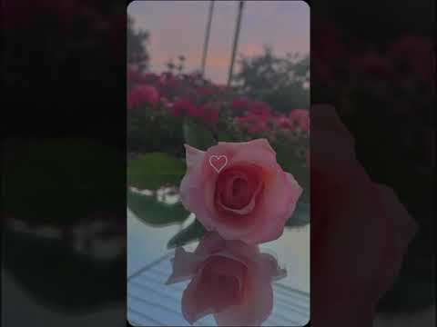 أجمل نغمات تركيه حزينة 