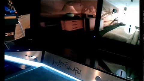 The Swordfish Computer