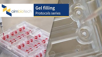 IdentX – Gel Filling