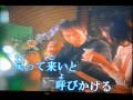 冬花火