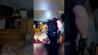 Police Rescue 175 DOGS Trapped 🤯