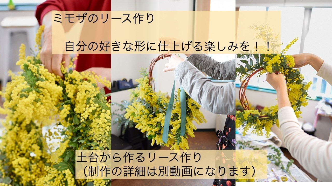 How to make a mimosa wreath (a video of the process will be posted