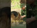 Những Chiến Binh "Đặc Biệt" Của Quân Đội Nhân Dân Việt Nam #shorts