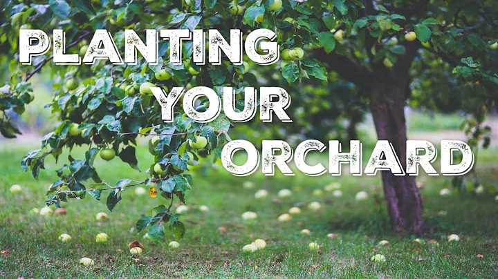 2 Ways to Grow an Orchard - DayDayNews