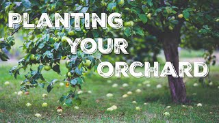 2 Ways to Grow an Orchard