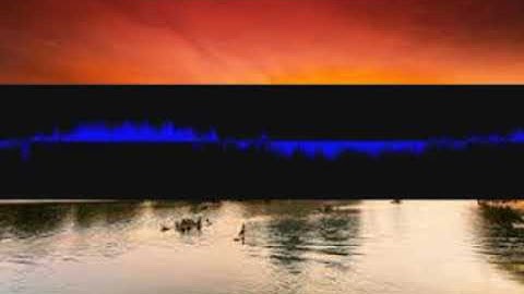 Socioeconomicmadrigals Fluegelhorn ammupmrdhf