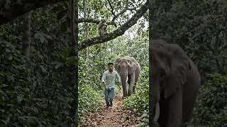jungle me hathi bachhohttps://www.facebook.com/share/p/1CLMfPNvN3/