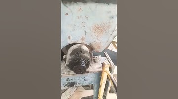 loader video shorts #loader #music plant