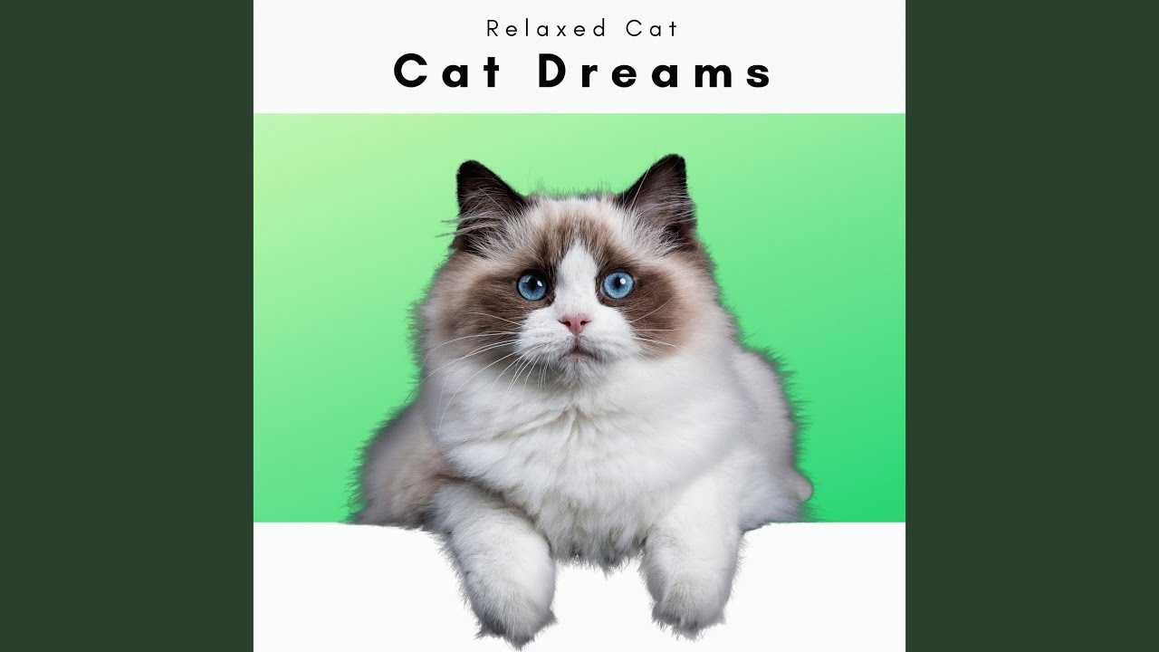Soothing Cat Dream Music Pt. 5