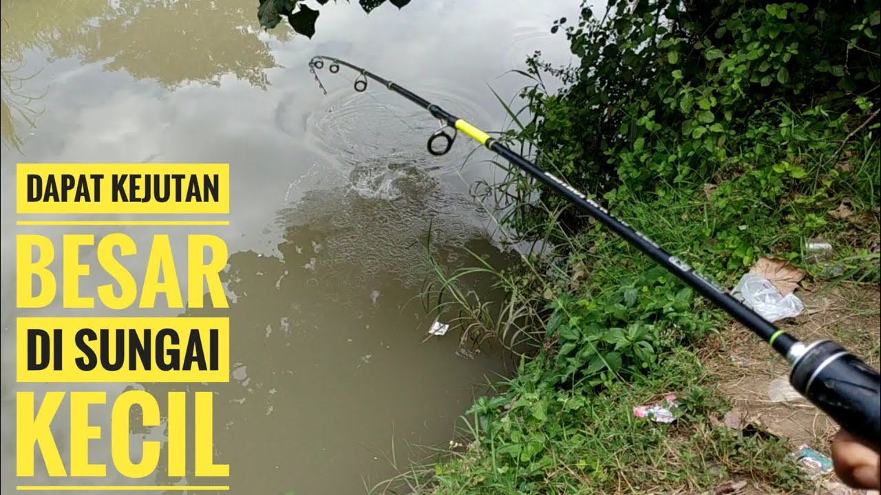 Mancing di Sungai Besini Puger Jember