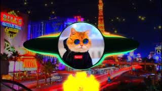 DJ THAILAND AHIK AHIK AHIK DJ SAKITNYA TUTUTU MAIMUNAH TERBARU 2021