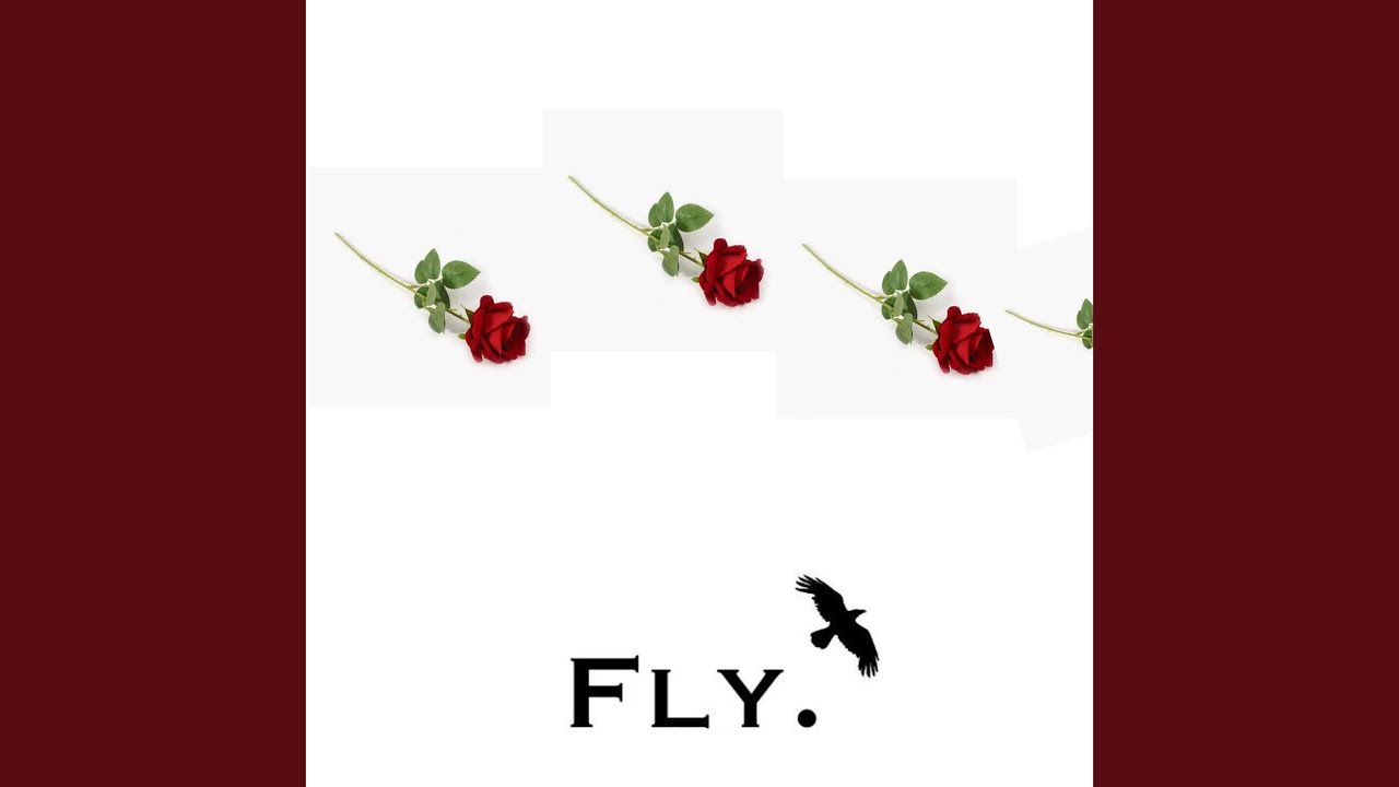 Watch Fly on YouTube Watch Fly on YouTube