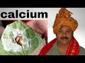 "चूना क्या है? | What is Slaked Lime? | पूरा विज्ञान आसान भाषा में"
