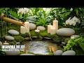 Insomnia Relief: Bamboo Fountain Sounds + Gentle Piano (No Talking) • Live Soundscape