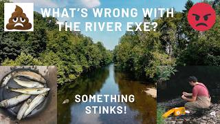 WHAT'S WRONG WITH THE RIVER EXE! As fish die and locals get sick our test shows sewage pollution