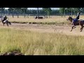 Traditional Horse Racing Esabelweni MP 05 04 2026 