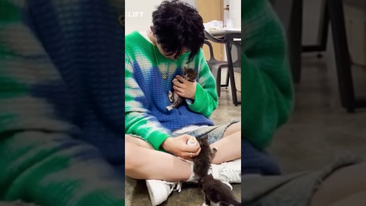 Even the kitten is in love with Heeseung 🥺