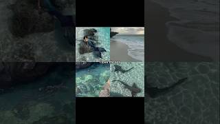 Which One Do You Choose?