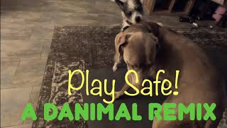 Small Dog Humps And Fights Big Dog Dubstep Funny