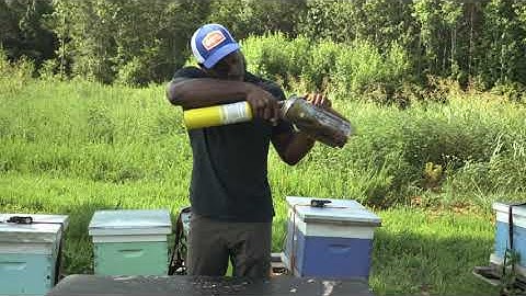 Beekeeping 101: How to Light a Smoker