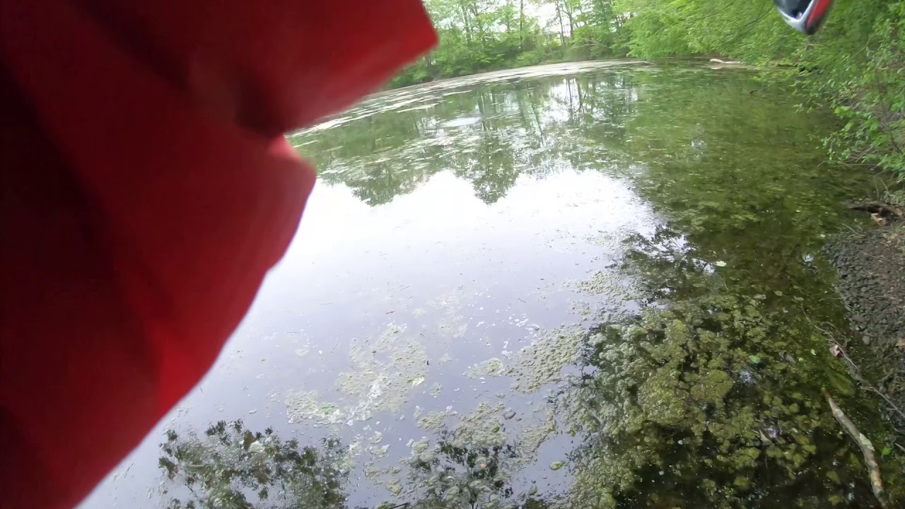 Lake fishing in ct - YouTube