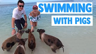 Swimming with Pigs Excursion! - Cruise Vlog - Independence of the Seas - Royal Caribbean 2022